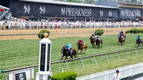 preakness handicappers picks|2023 Preakness Picks & Best Bets .